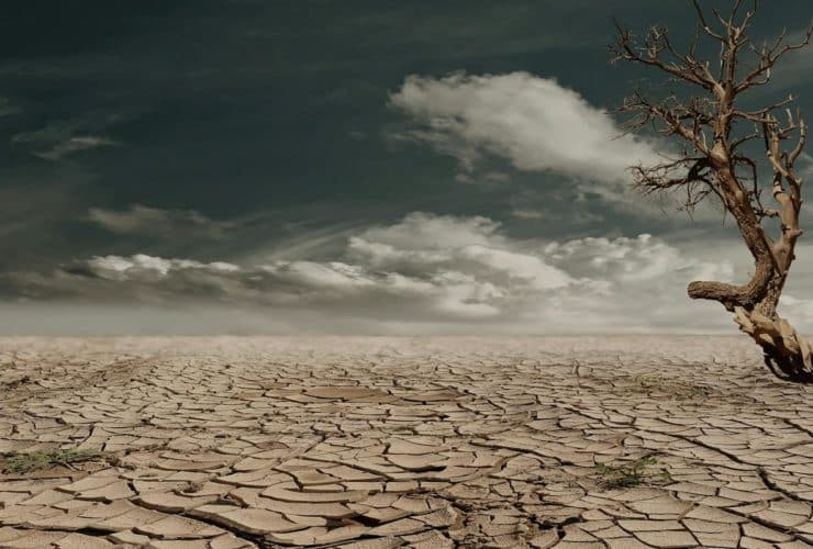 climate change
