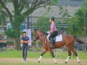 How Horse Jockeys Maintain Focus During Big Races