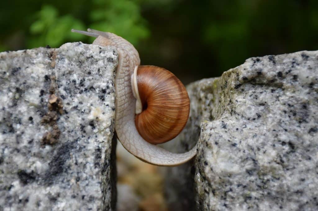 Overcoming Obstacles When Positive Attitude Doesn't Work