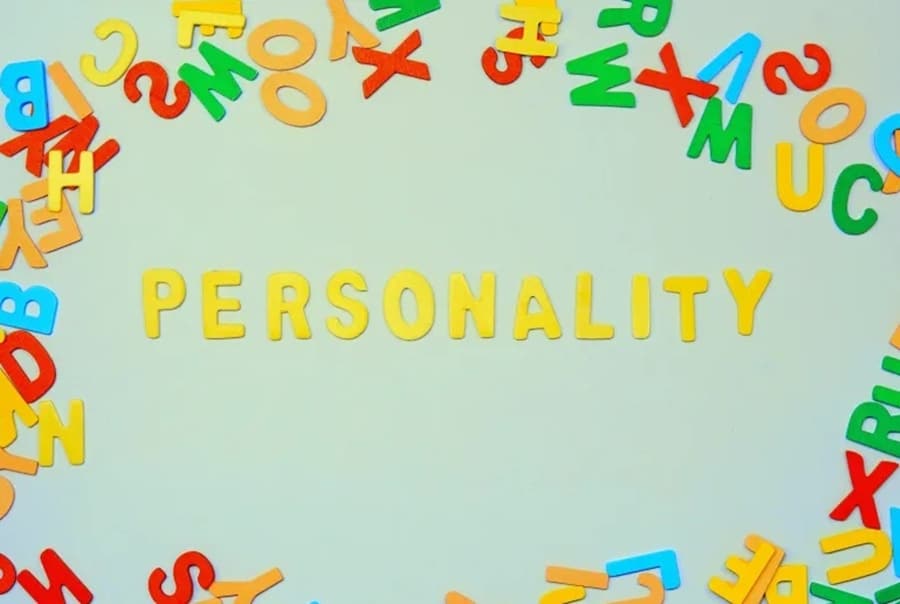 what conclusions can we draw from trait theory