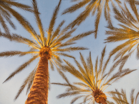 California is one of the most diverse States in the US