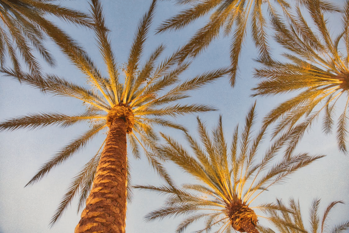 California is one of the most diverse States in the US